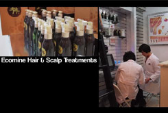 뉴욕박람회 동영상