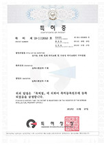 특허 : 제10-1112053호