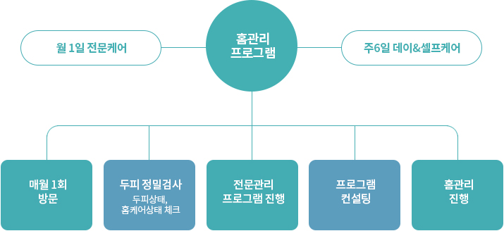홈관리 프로그램 월1일 전문케어 주 6일 데이&셀프케어 / 매월 1회 방문, 두피정밀검사 두피상태, 홈케어상태 체크, 전문관리 프로그램 진행, 프로그램 컨설팅, 홈케어 진행