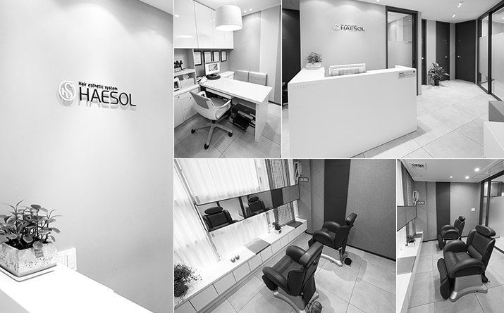 헤솔 프랜차이즈